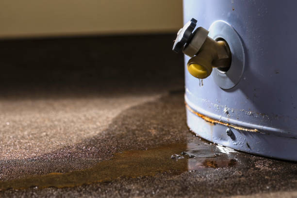 Best Water damage restoration mold remediation  in Rock Valley, IA