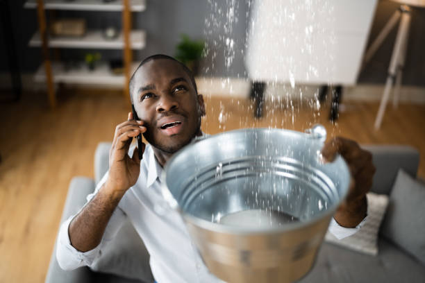 Best Carpet water damage restoration  in Rock Valley, IA