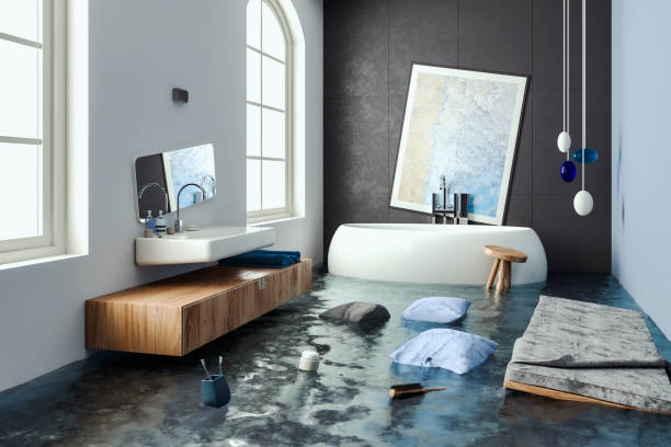 Best Residential water damage restoration  in Rock Valley, IA