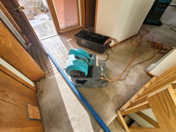 Best Ceiling water damage repair  in Rock Valley, IA