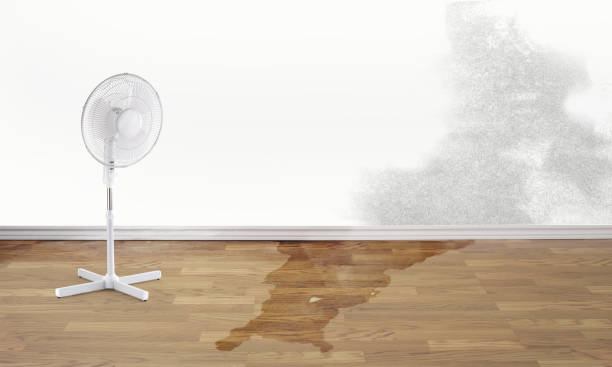 Carpet water damage restoration in IA