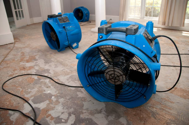 Best Water damage contractors near me  in Rock Valley, IA