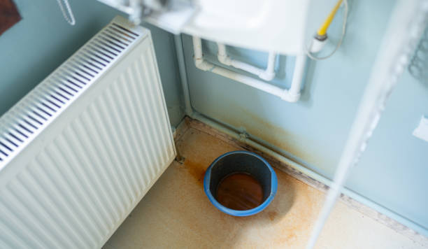 Best Flood restoration services  in Rock Valley, IA