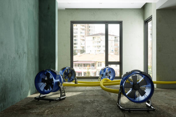 Best Commercial water damage restoration  in Rock Valley, IA