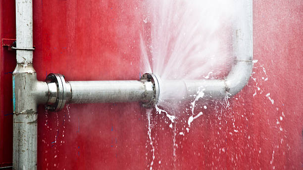 Best Flooded house restoration  in Rock Valley, IA